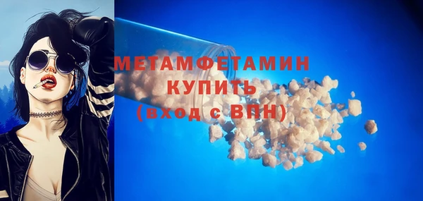 прущие грибы Вяземский