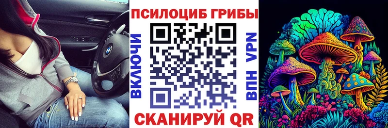 Псилоцибиновые грибы Magic Shrooms  где купить наркотик  Ноябрьск 