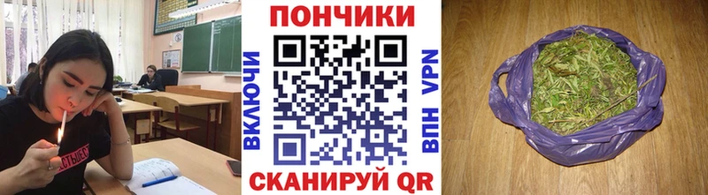 дарнет шоп  Ноябрьск  Шишки марихуана семена 